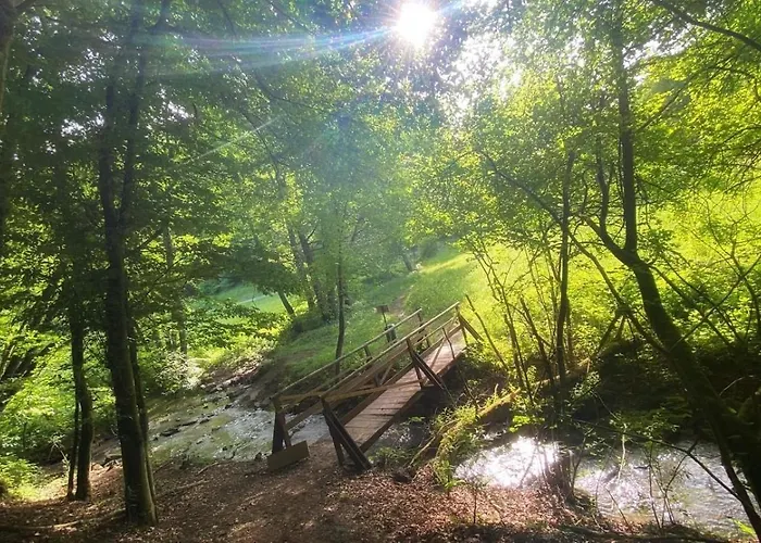 Forest View, Ganzes Haus 100qm, 2 Schlafzimmer, 2 Baeder, Badewanne, Garten & Terrasse * Braunfels